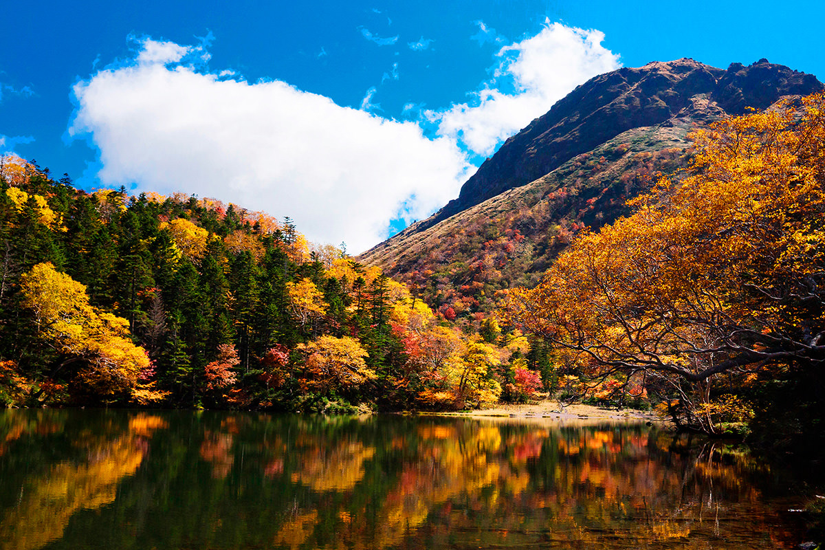 ใบไม้เปลี่ยนสีที่ภูเขานิกโกชิราเนะ
