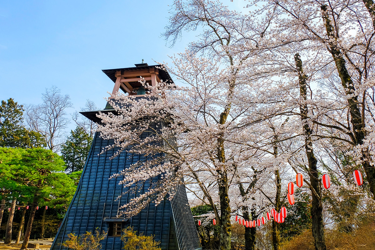 沼田公園櫻花祭