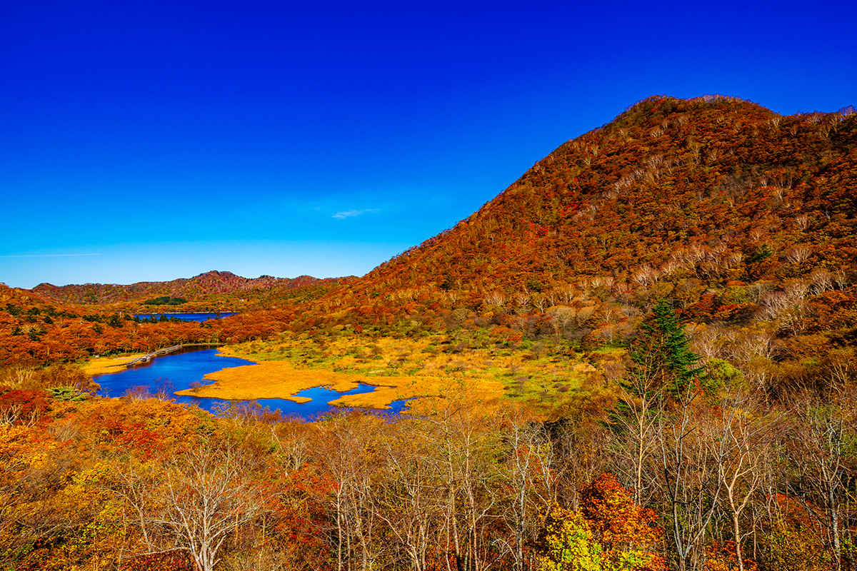 Autumn Leaves at Mt. Akagi