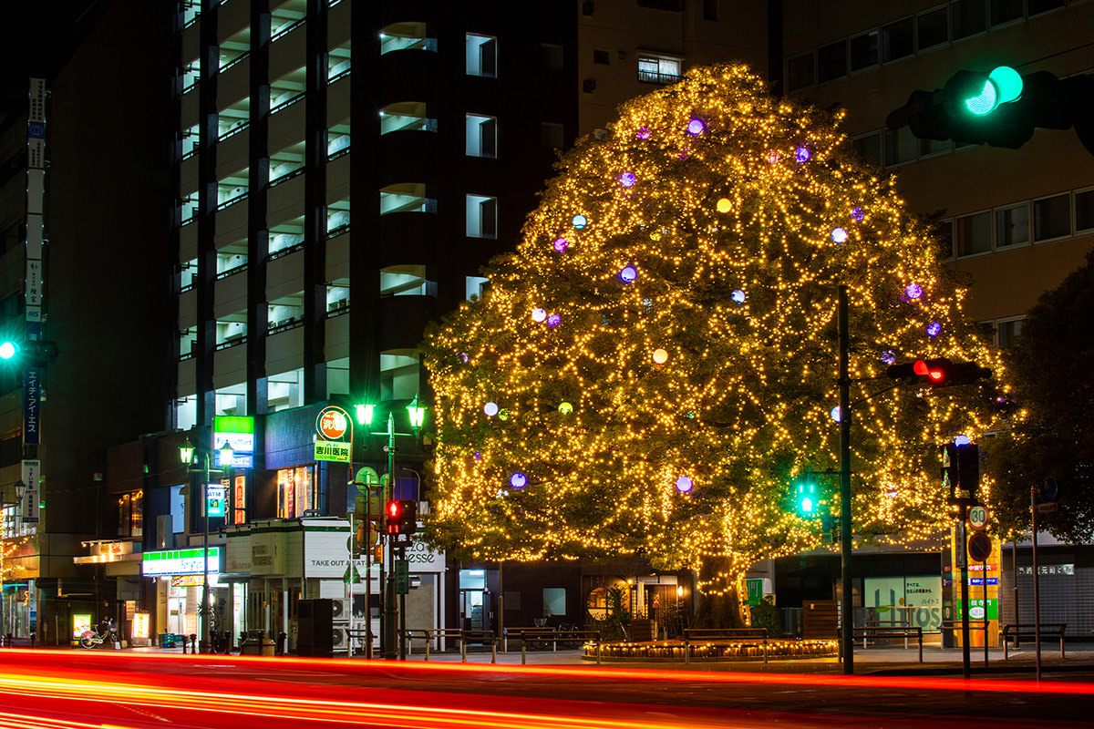 เทศกาลประดับไฟ Takasaki Pageant of Starlight