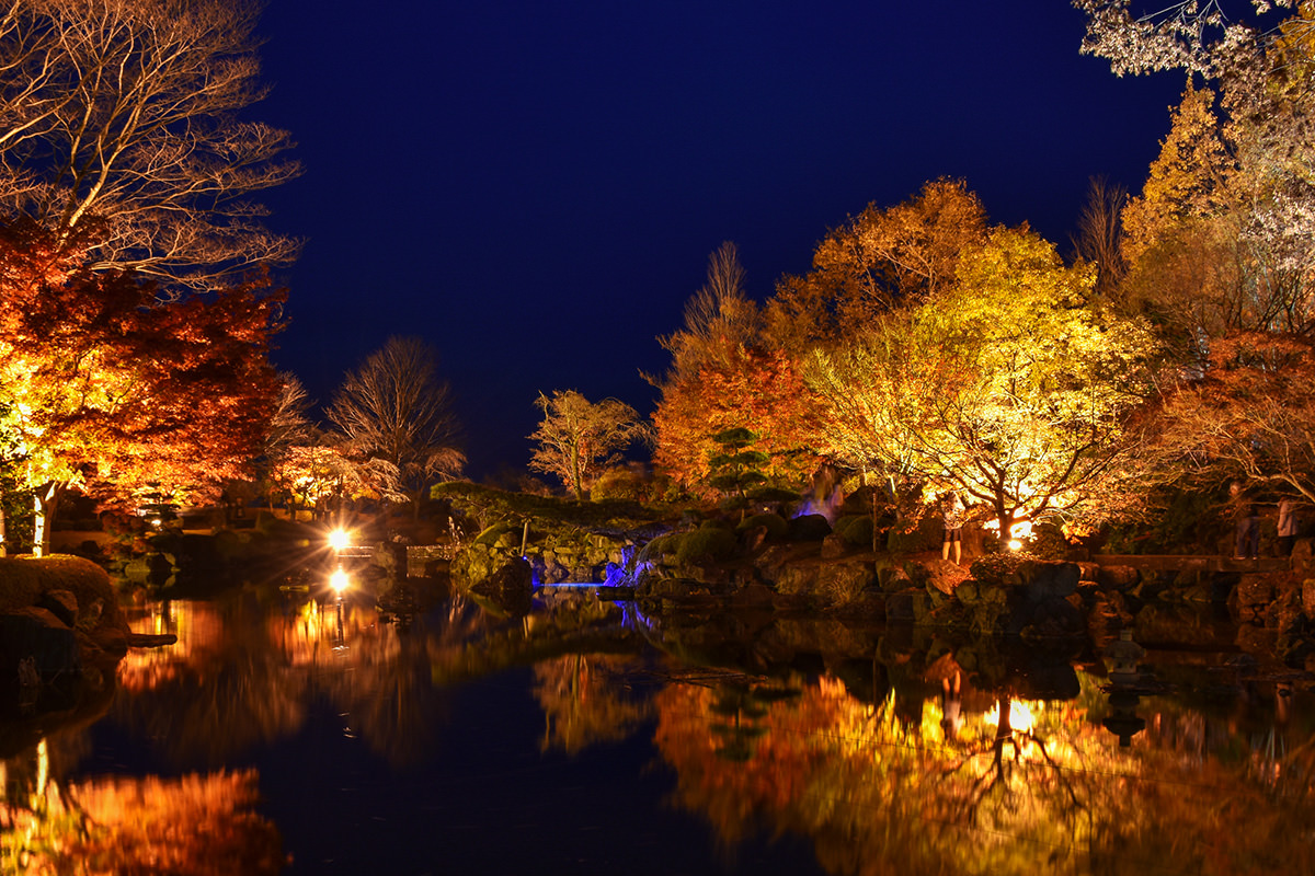 Sakurayama Park Autumn Leaves Illumination Gunma Official Tourist Guide