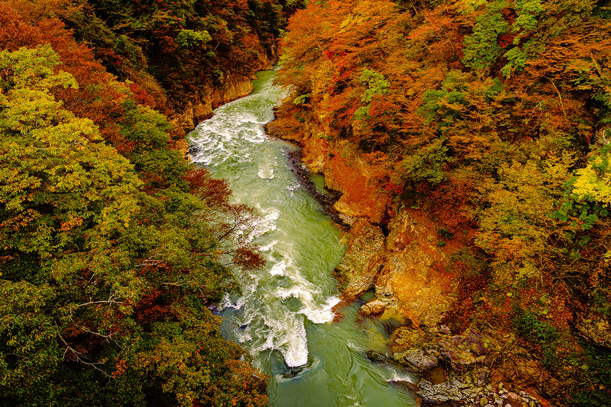 Autumn Leaves at Agatsumakyo Gorge