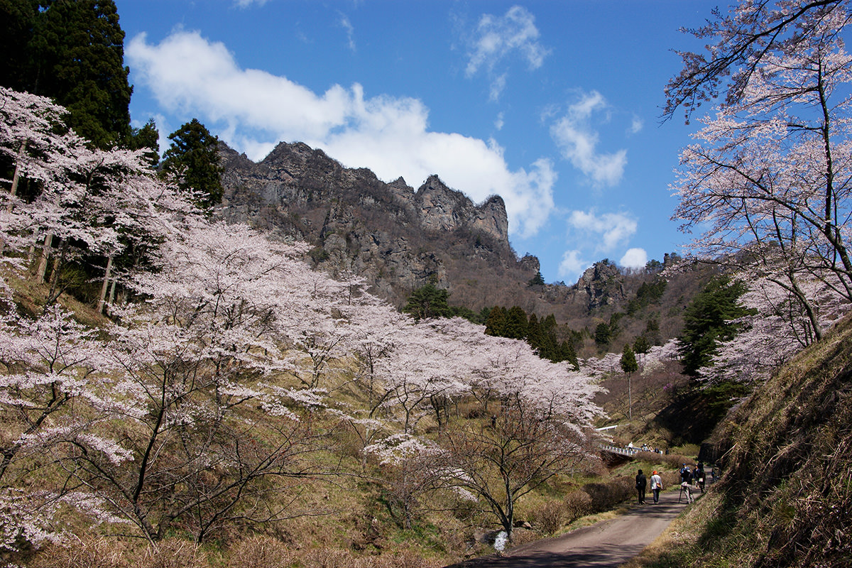 Sakura no Sato