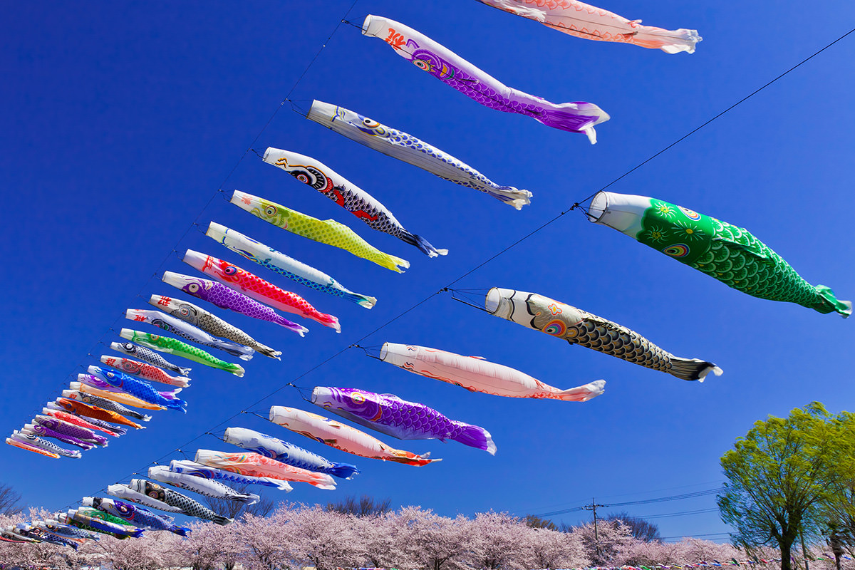 เทศกาลธงปลาคาร์ปทาเตะบายาชิ