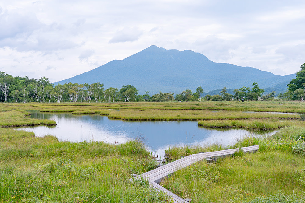 img_story_81_oze_04_05