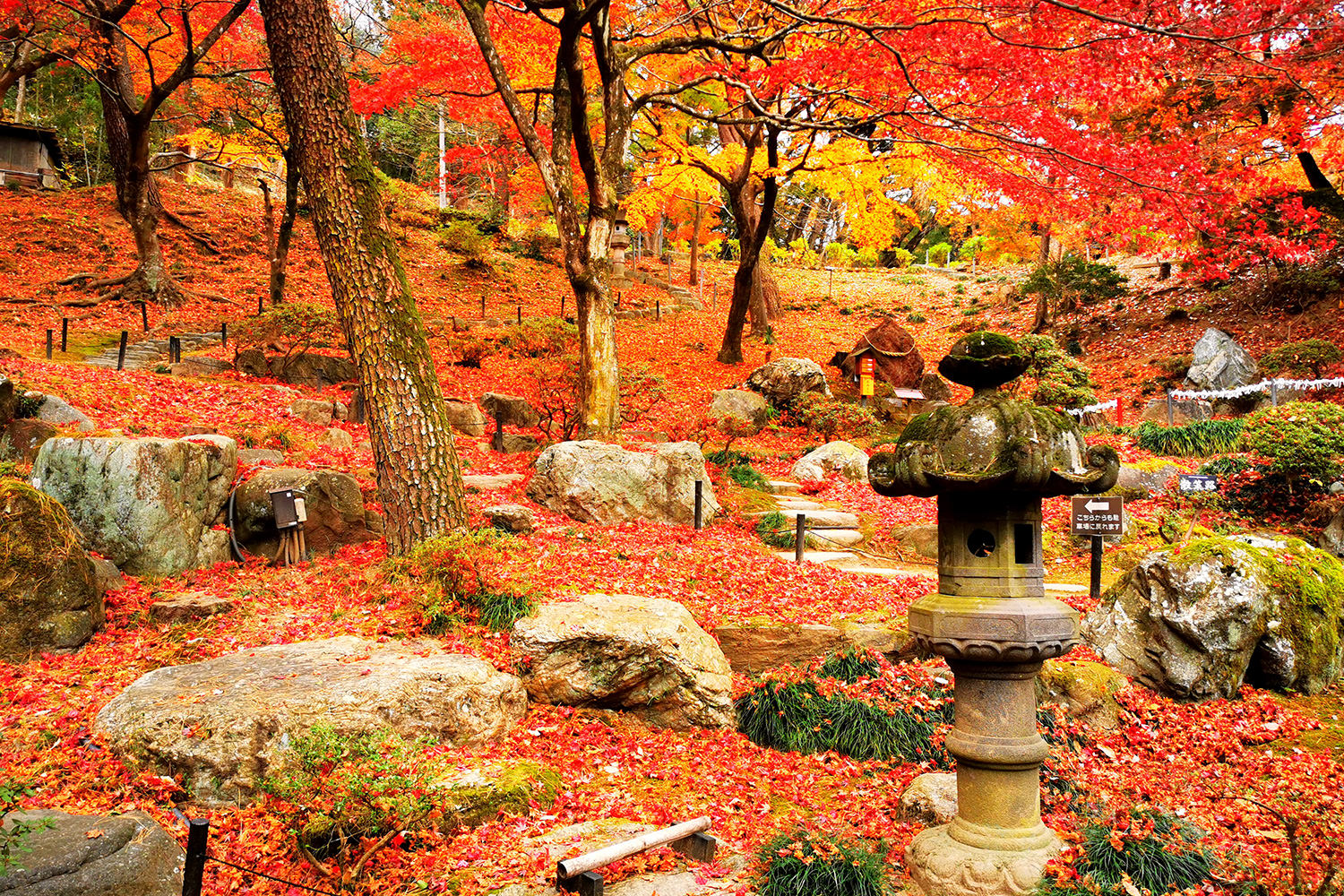 Doukutsu Kannon, Tokumei-en