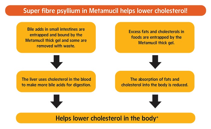 Soluble fiber and cholesterol reduction