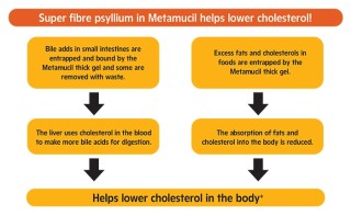 The Science Of Metamucil