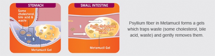 How Metamucil works in your body