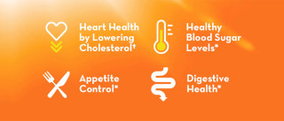 PSYLLIUM: THE SUPER FIBRE IN METAMUCIL®