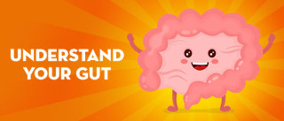 Understanding your gut