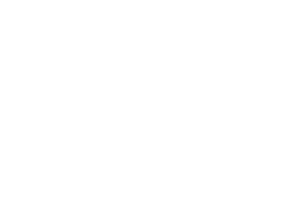 the big quiet logo white 