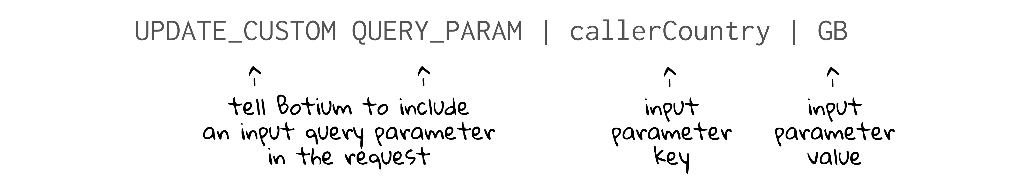 update_custom_query_param