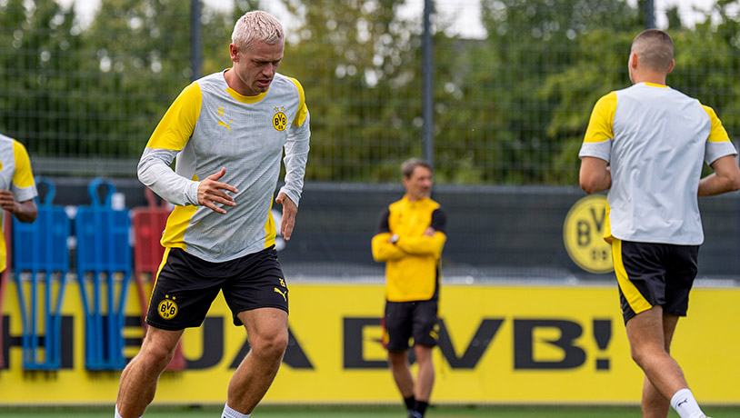 Puzzle Borussia Dortmund 1000 Pezzi - 72x45 Cm, Nero/Giallo, Per Tifosi BVB - Foto 5