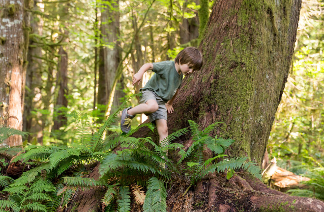 age-4-5-forest-school