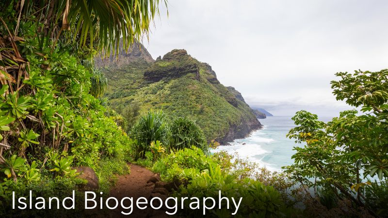Island Biogeography