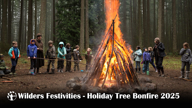 Holiday Bonfire 169