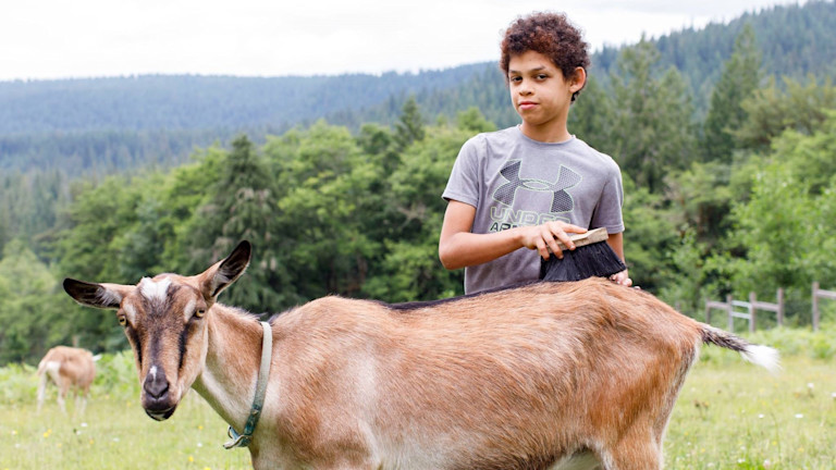 farm-camp-goat-slide