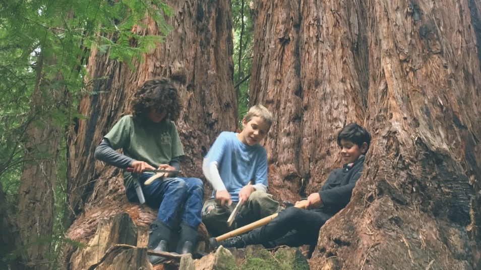 Extended Camp - Summer - Trackers Earth Seattle/Kirkland