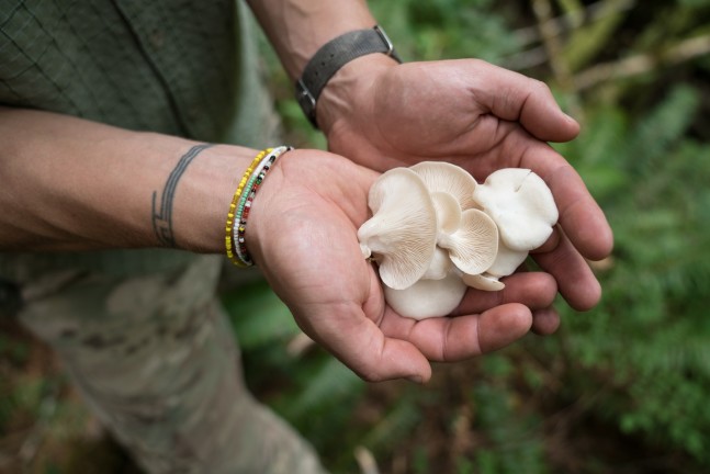 Mushroom Foraging Class