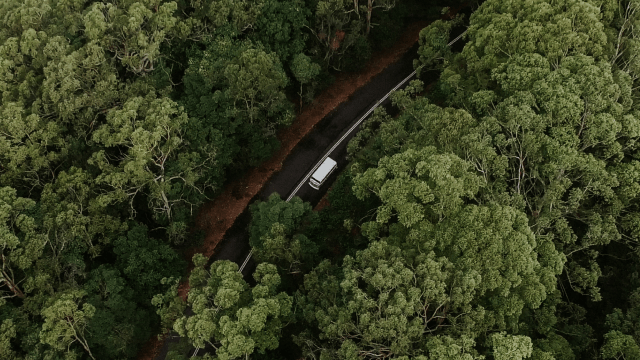 Bird-view of a moving truck