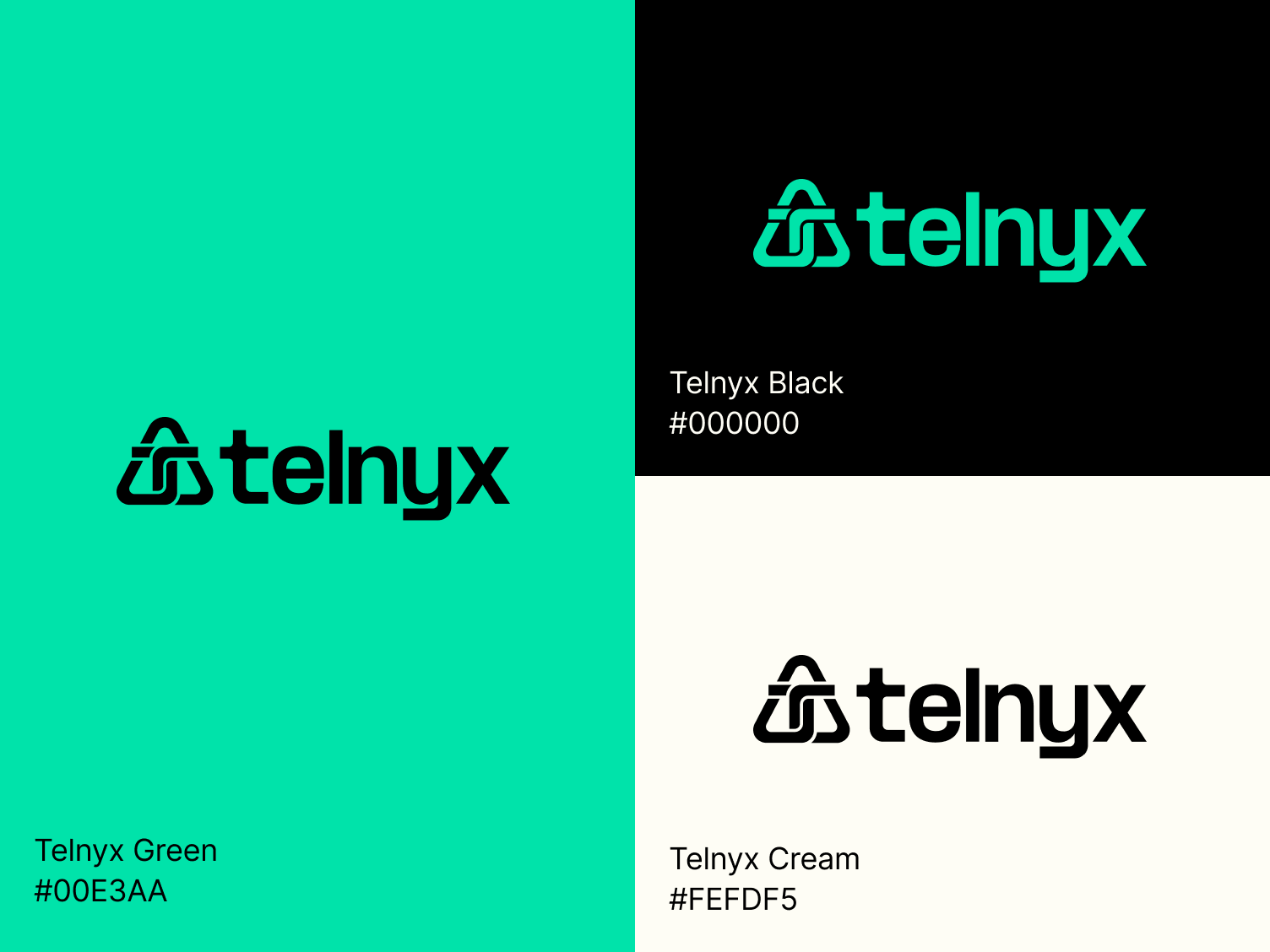 Green #00E3AA and black #000000 are our primary brand colors. 