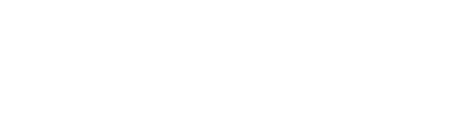 Plivo Logo