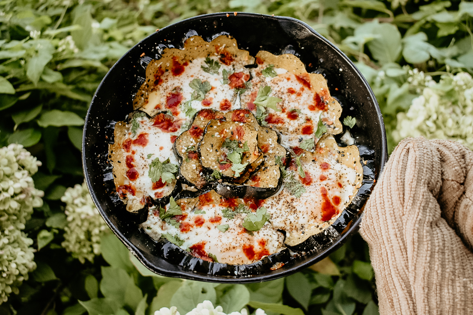 Acorn Squash Blossom 1