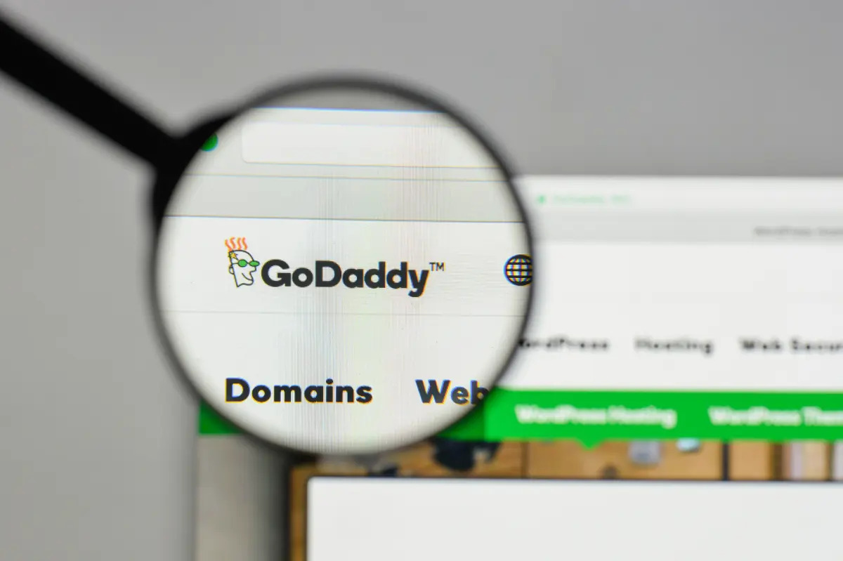 How to Provide Delegate Access in GoDaddy