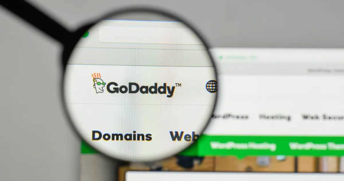 How to Provide Delegate Access in GoDaddy