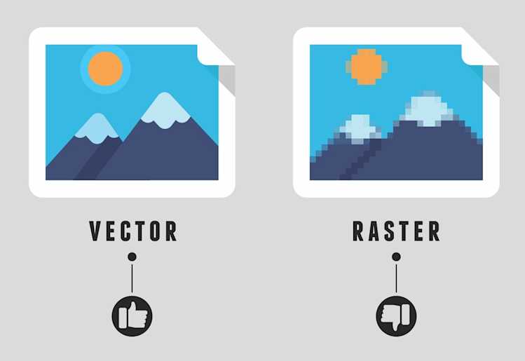 Comparing Vector and Raster Graphics: Main Differences Outlined