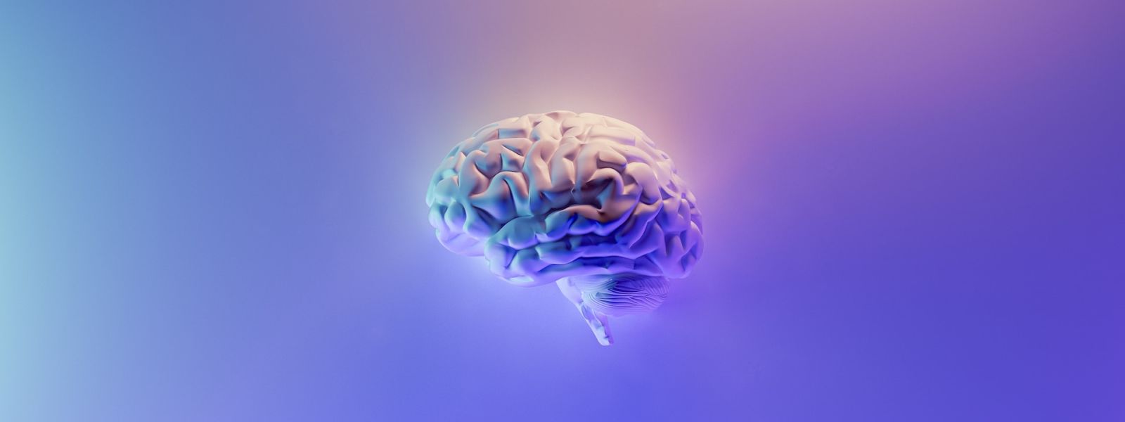 A digital render of a brain with a purple background.