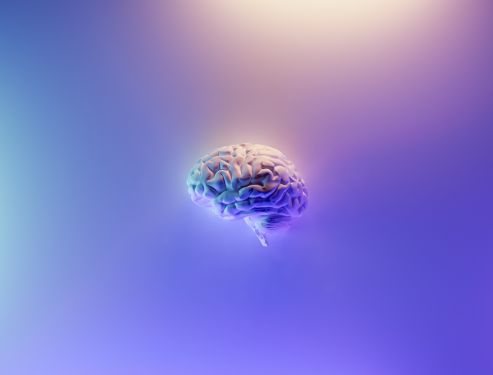 A digital render of a brain with a purple background.