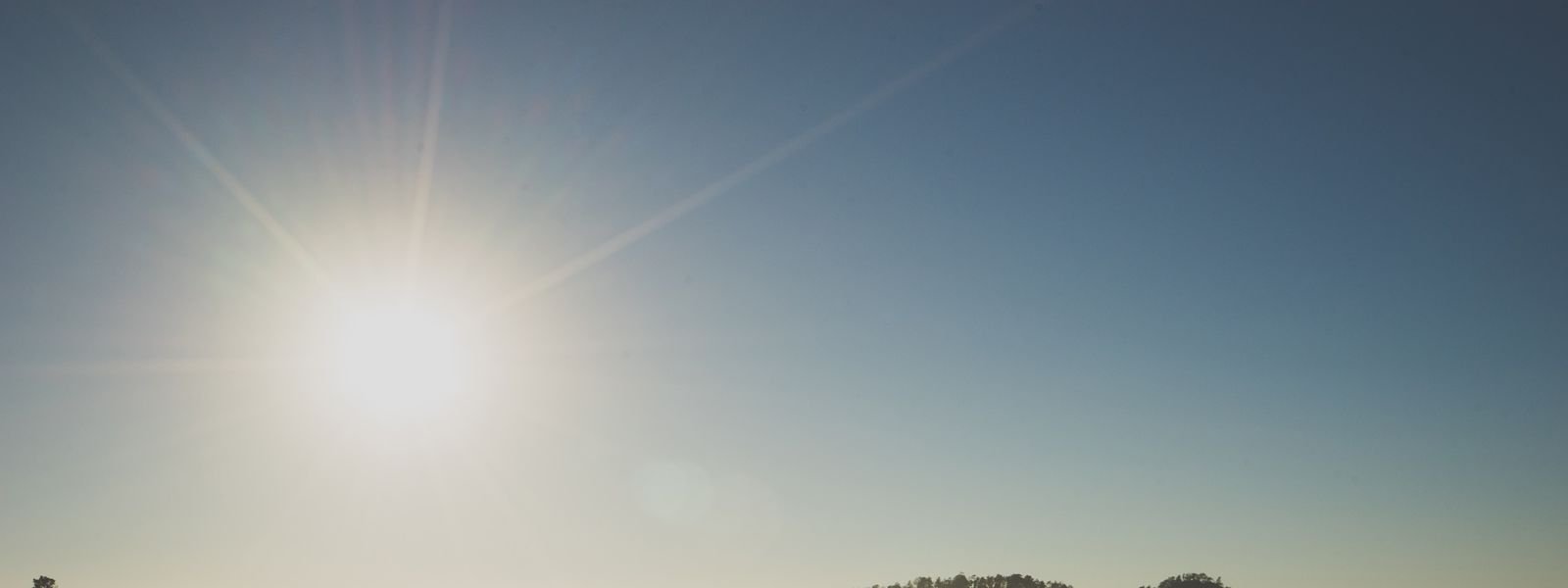 January time to think design act