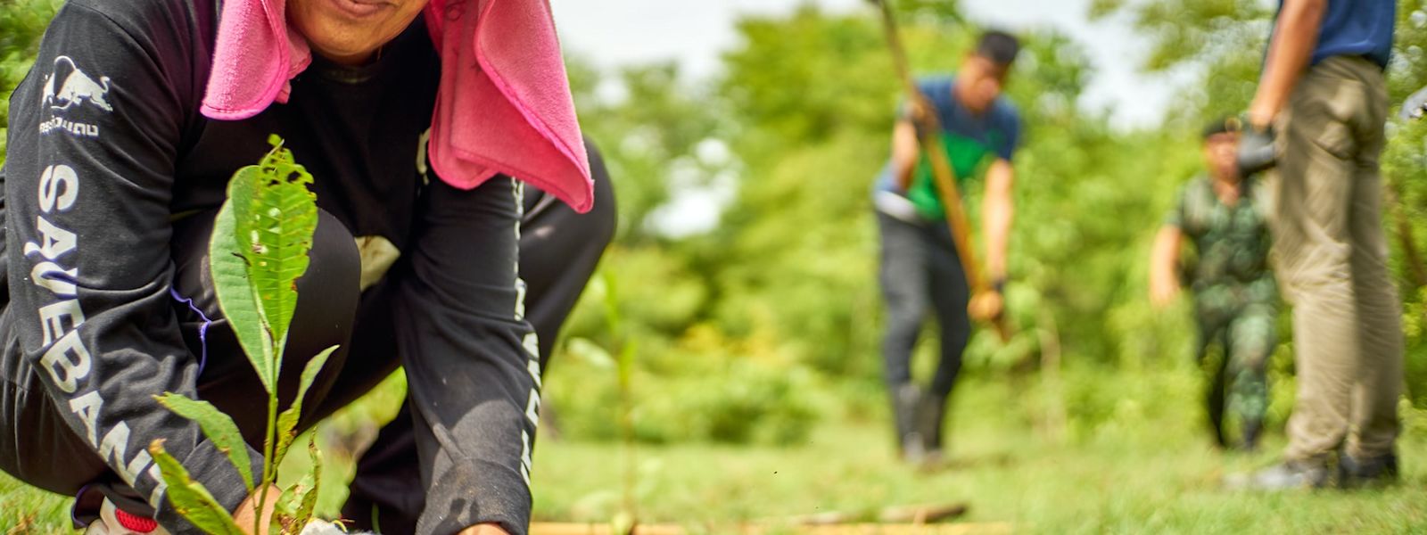 A farmer planting a tree.