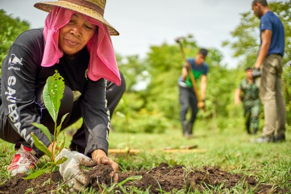 A farmer planting a tree.