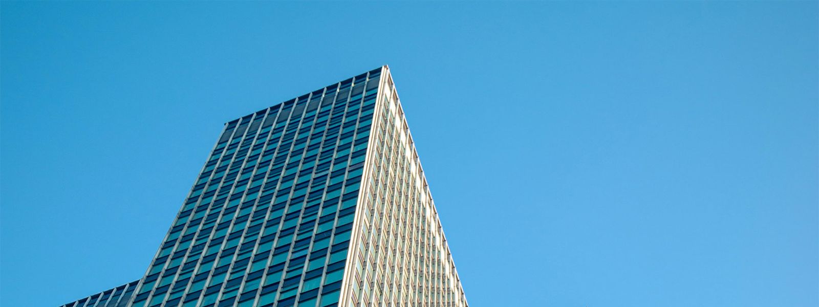 Why-you-cant-predict-growth-by-looking-backwards