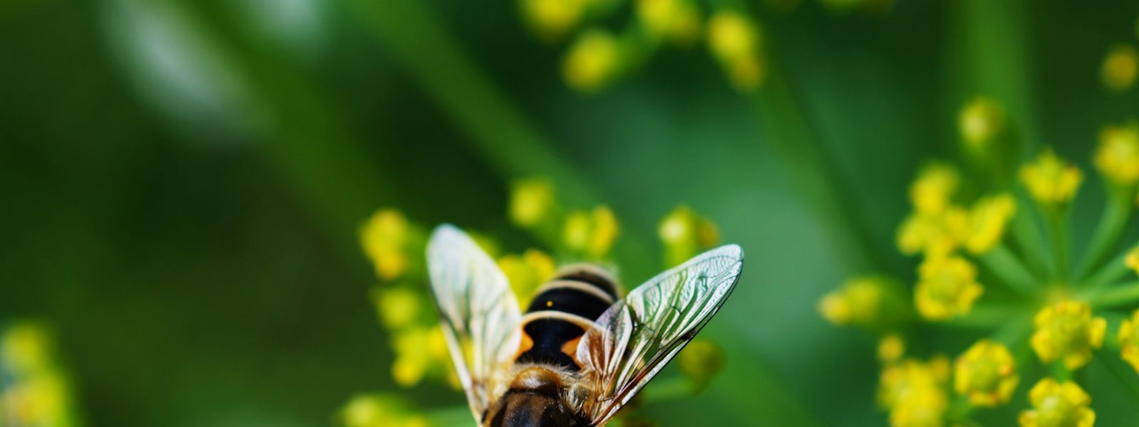 How finders minders grinders fit into the modern firm