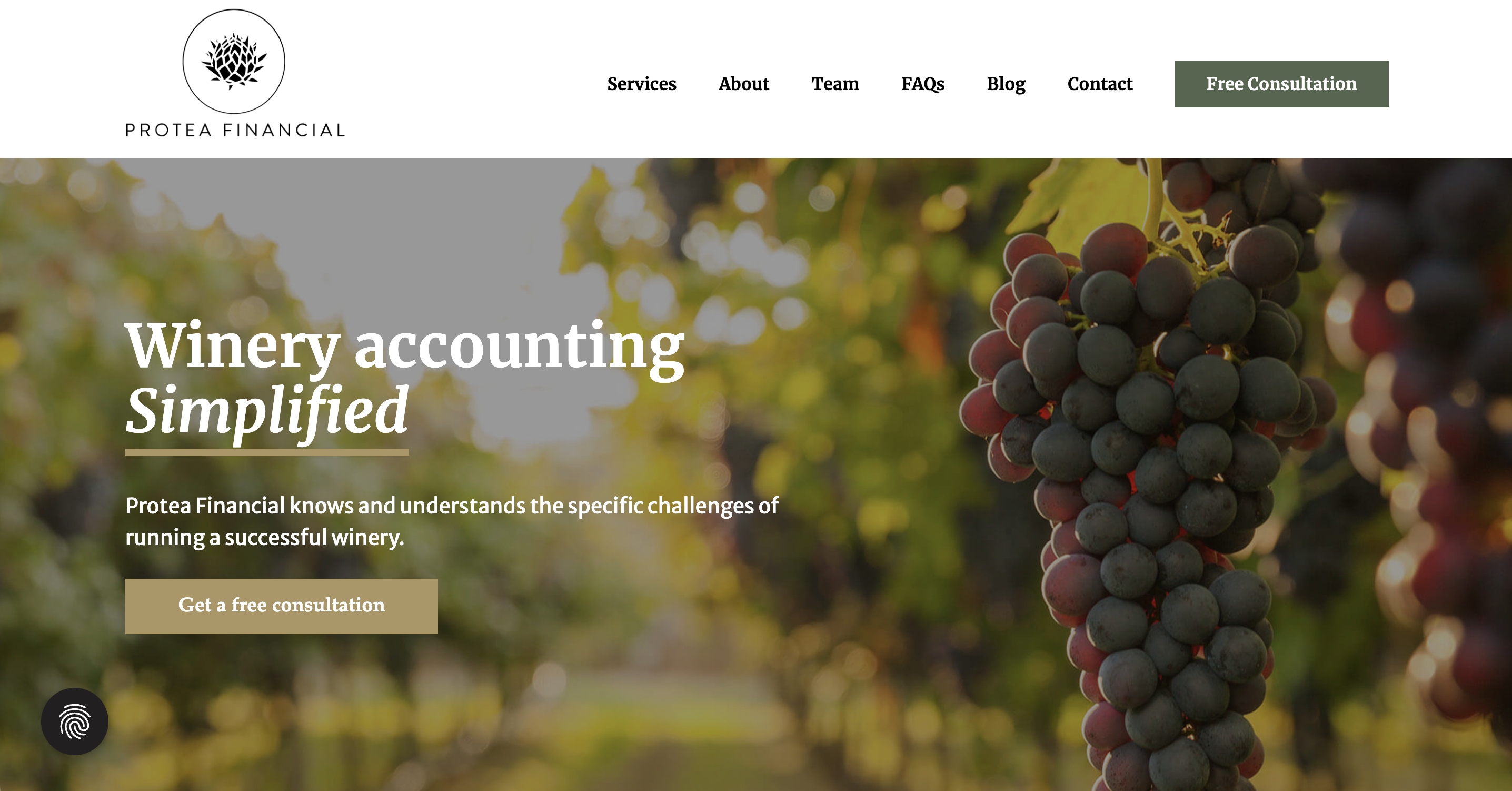 Protea Financial's website is a great example of an accounting firm being clear about their market niche.