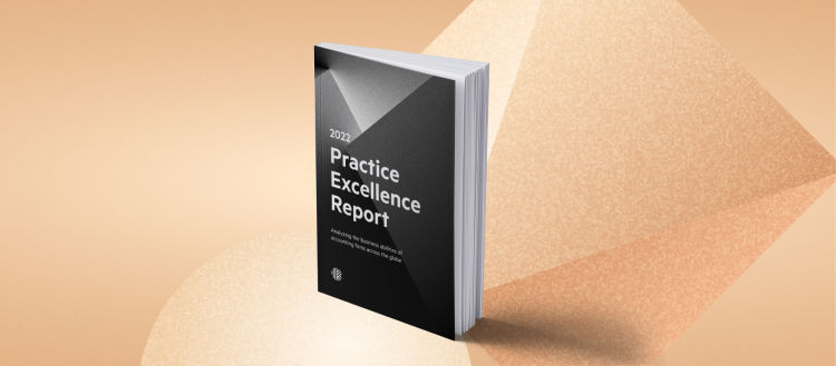 A black, white and gray textured book cover with the words '2022 Practice Excellence Report Analyzing the business abilities of accounting firms across the globe'.
