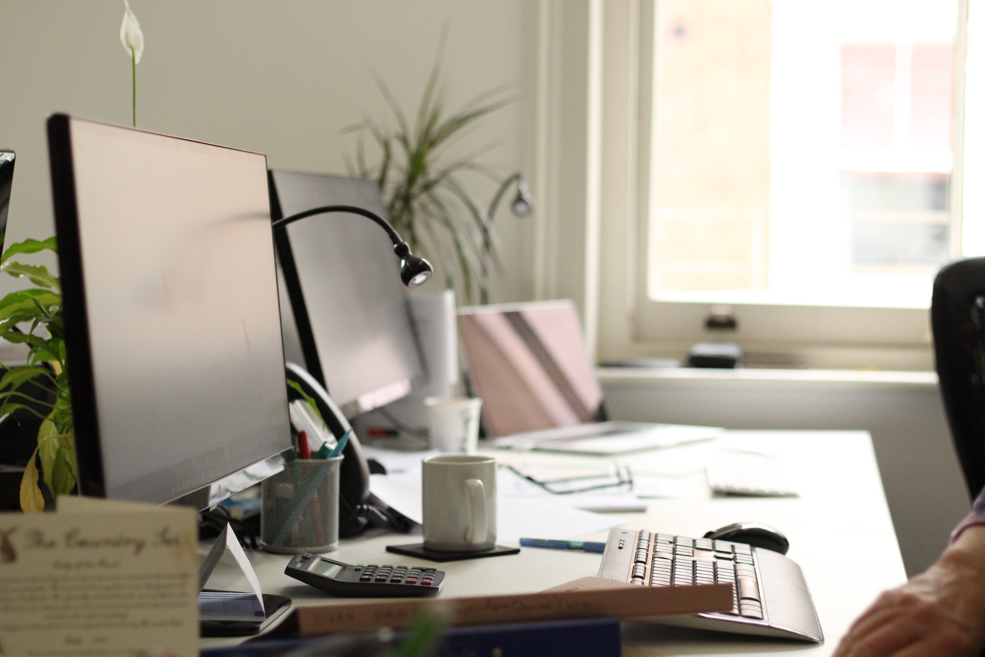 Proven marketing tactics for accounting firms