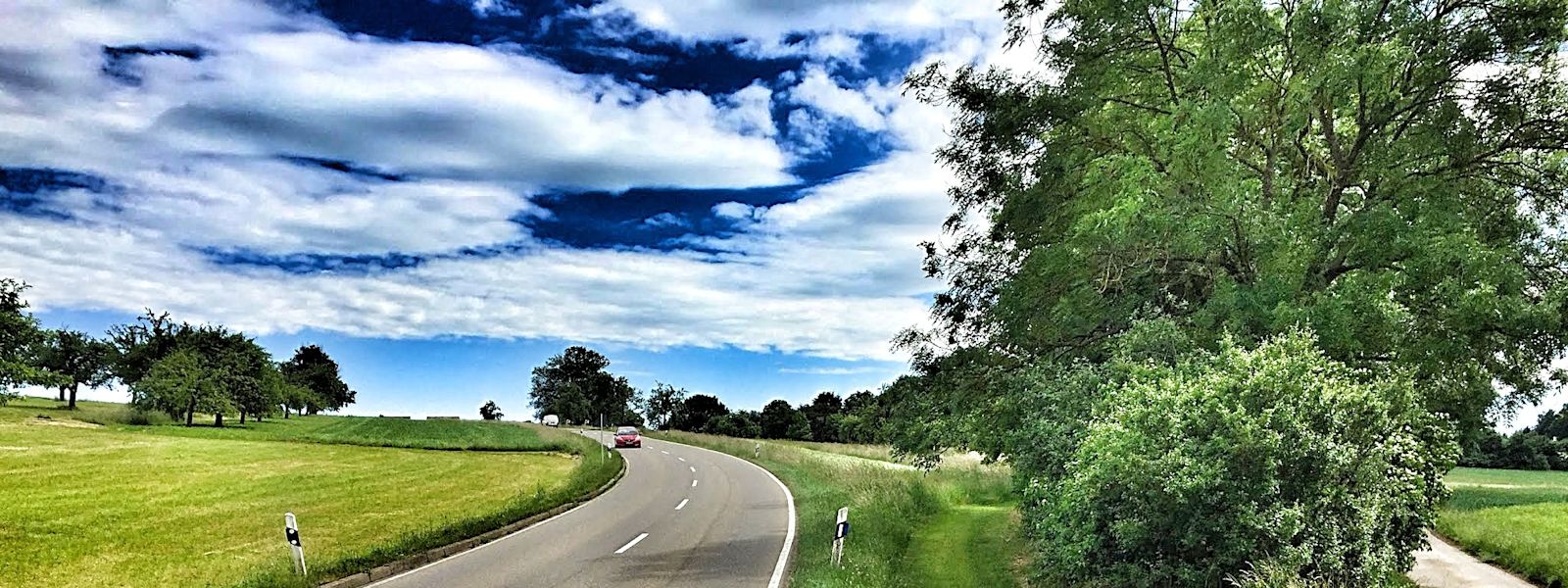 What your firm has in common with a sports car