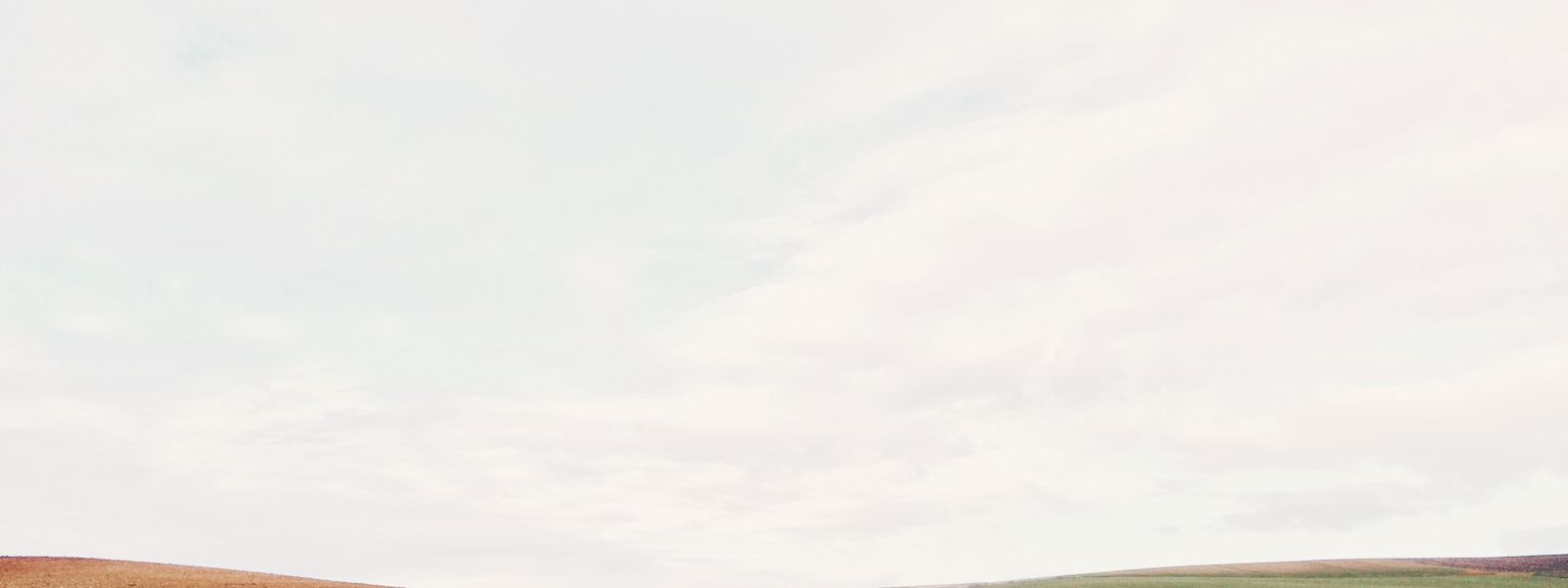 Managing change in your accounting practice