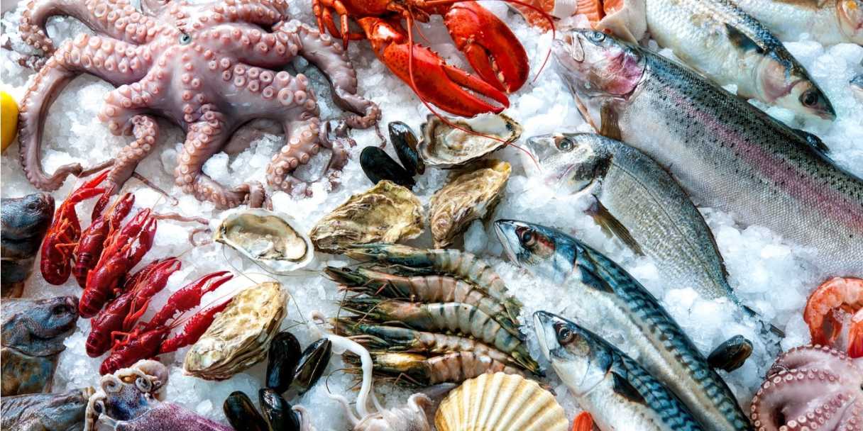 Al Mercato Ittico per lo speciale Migliore Ristorante Pesce Milano – Fonte: Shutterstock \[…\]