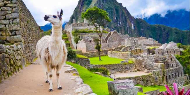 Machu Picchu con lama – Fonte: Shutterstock \[…\]

[Leggi tutto…<](https://quisine.quandoo.it/guide/migliori-ristoranti-peruviani-milano/attachment/shutterstock_553984249/)