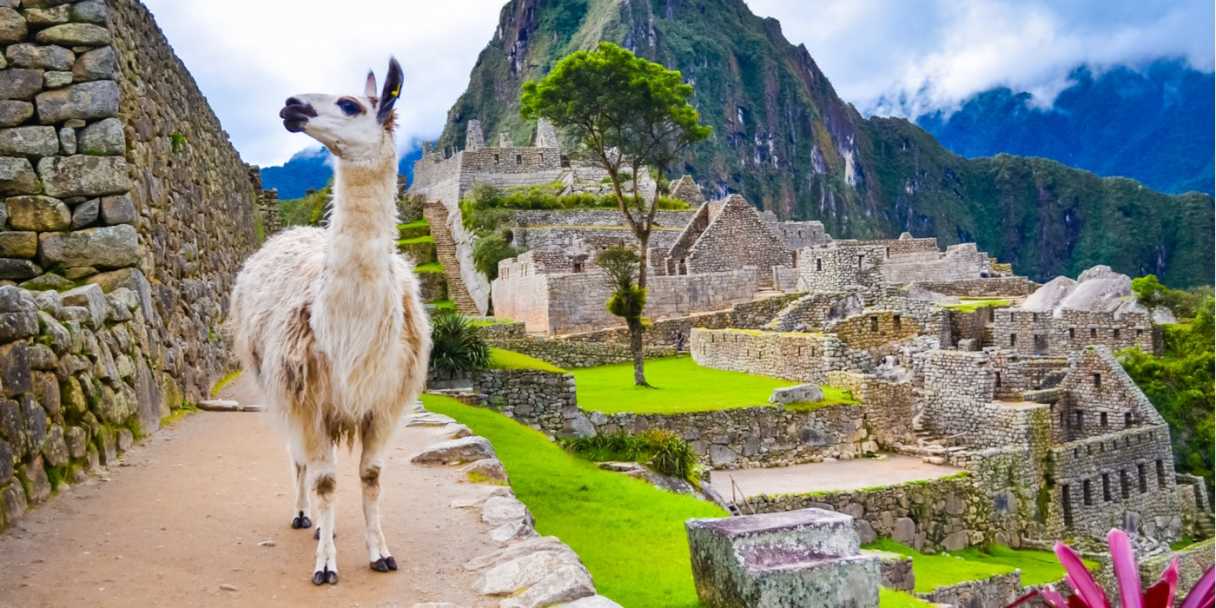 Machu Picchu con lama – Fonte: Shutterstock \[…\]

[Leggi tutto…<](https://quisine.quandoo.it/guide/migliori-ristoranti-peruviani-milano/attachment/shutterstock_553984249/)