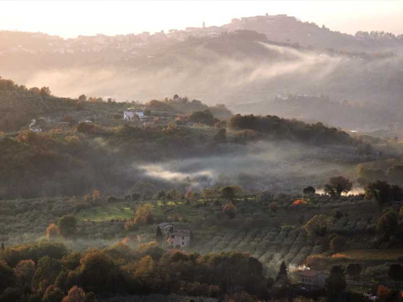 Vigneto in una valle vicino a Piglio, cittadina medievale del Lazio – Fonte: Shutterstock \[…\]