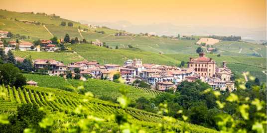 Ristornati nel Monferrato – Fonte: Shutterstock \[…\]

[Leggi tutto…](https://quisine.quandoo.it/guide/monferrato-ristoranti-vino/attachment/shutterstock_683889034-1/)<