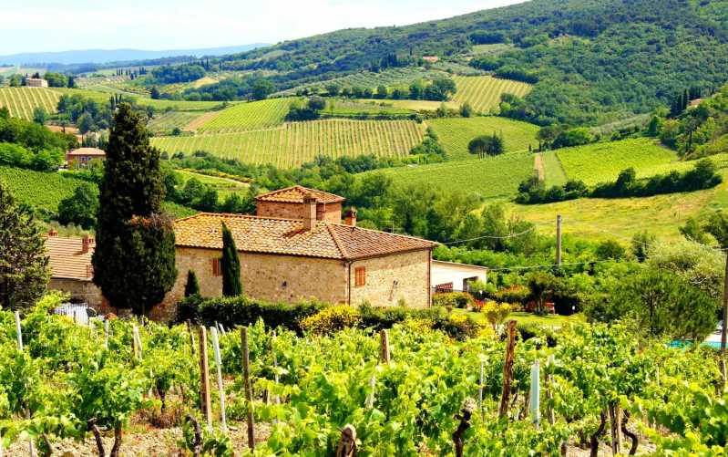 \[…\]

[Read More…](https://quisine.quandoo.co.uk/guide/the-5-best-wine-bars-in-tuscany/attachment/vineyard-hills-tuscany-italy/)