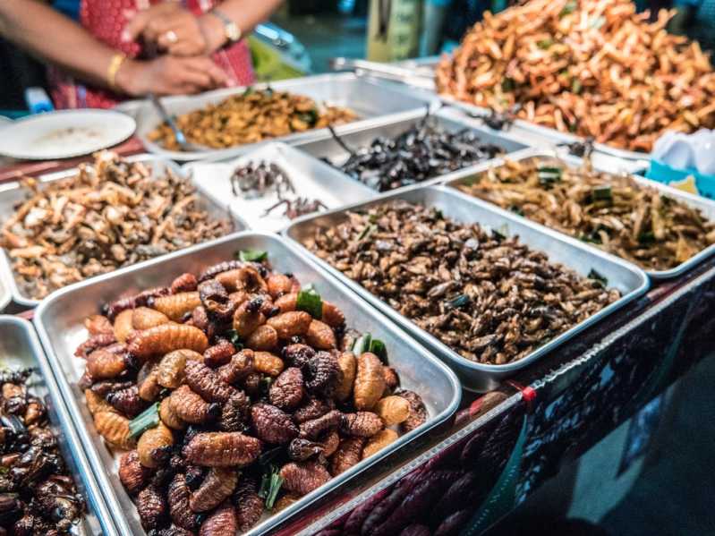 Edible insects are already widely conusmed in many parts of Asia. Source: Shutterstock \[…\]